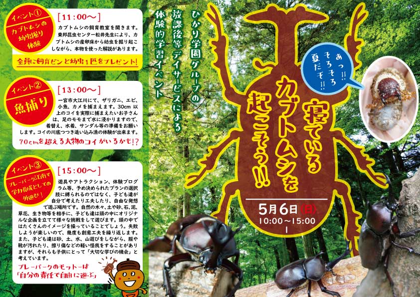 5月6日（日）体験的学習「寝ているカブトムシを起こそう！」