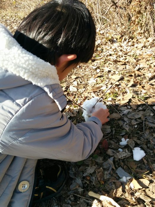 毎週土曜日の「学力養成としての外遊び」※随時内容を更新中！