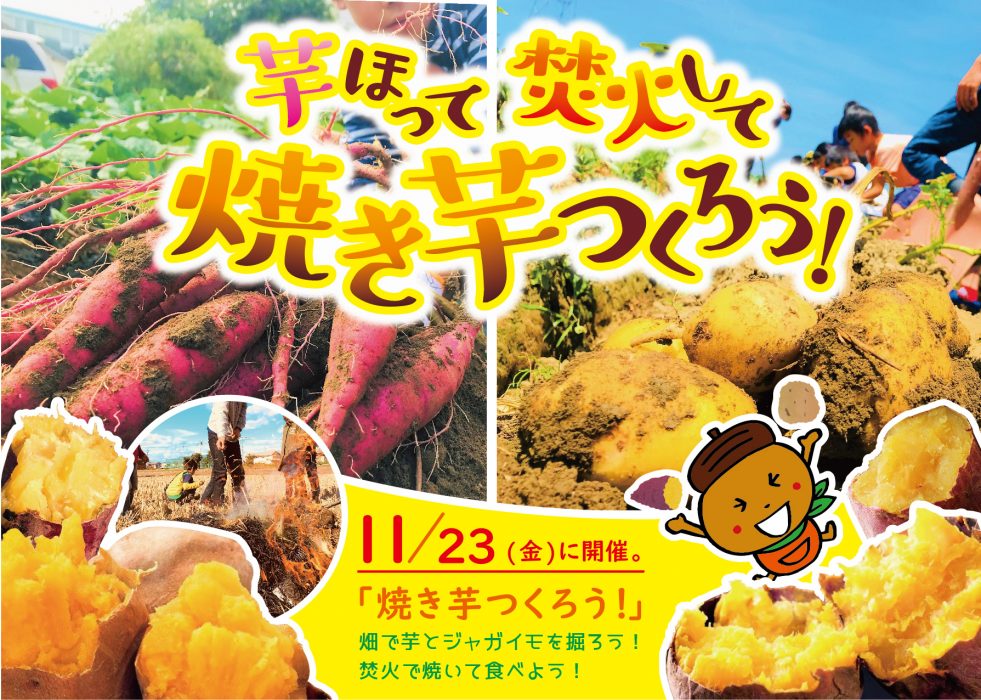 11月23日(金）イベント焼き芋！みかん狩り！11/23更新