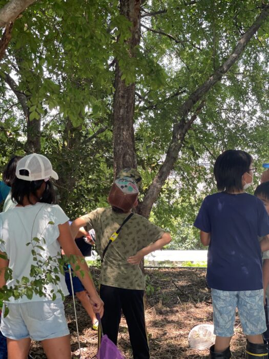 夏休み②7月26日～