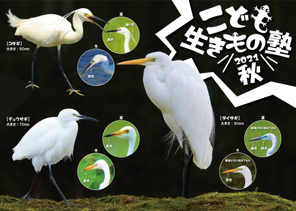 9月③算数文章問題と外遊び