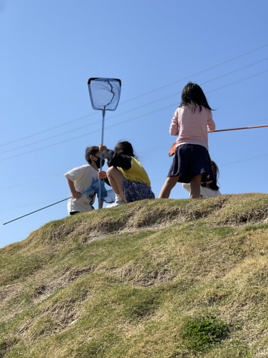 4月個別支援②園庭で生き物探し