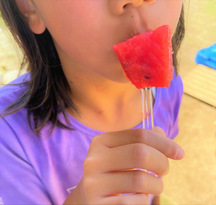 夏休み④夏祭り２、川遊び２・３