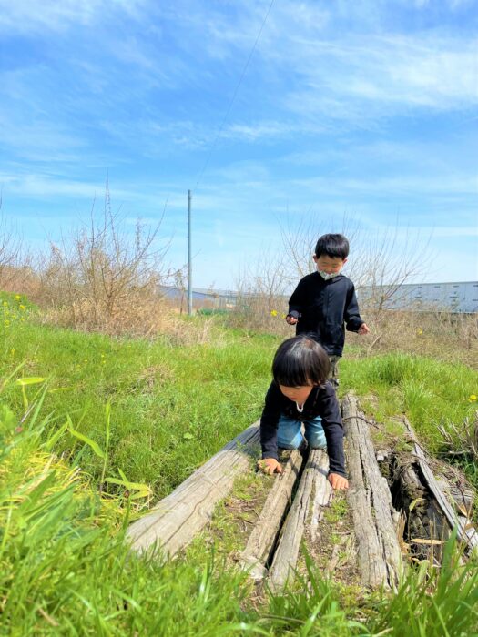 3月個別支援⑥春の生き物探し