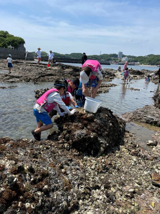 5月21日磯遊びイベント