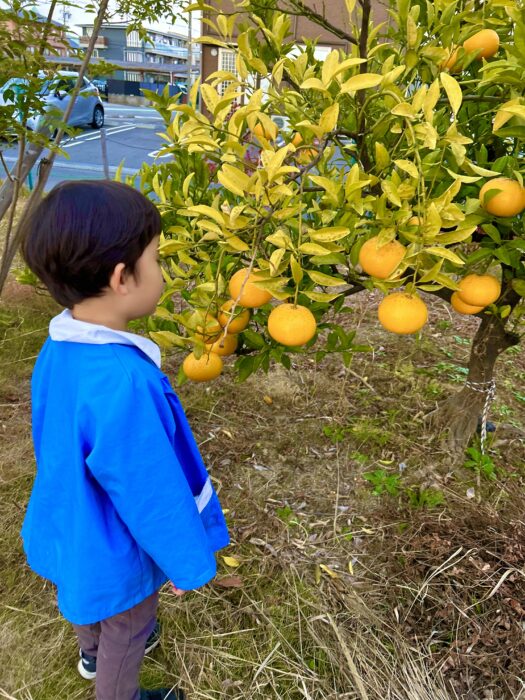 11月個別支援⑤現実を学ぶ