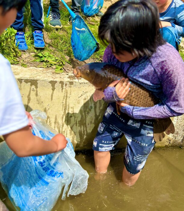 生き物探し