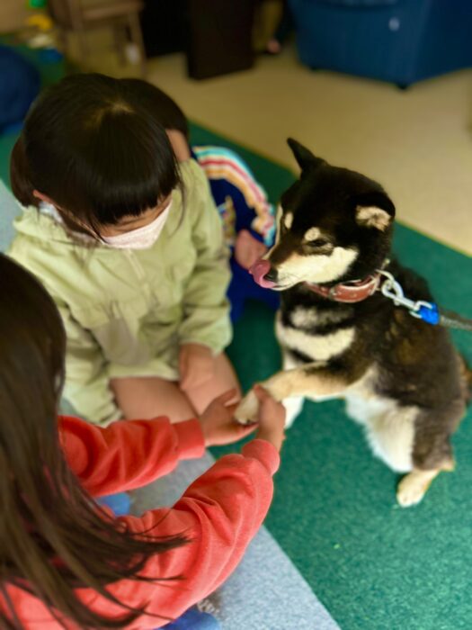 4月個別支援①黒柴くーちゃん