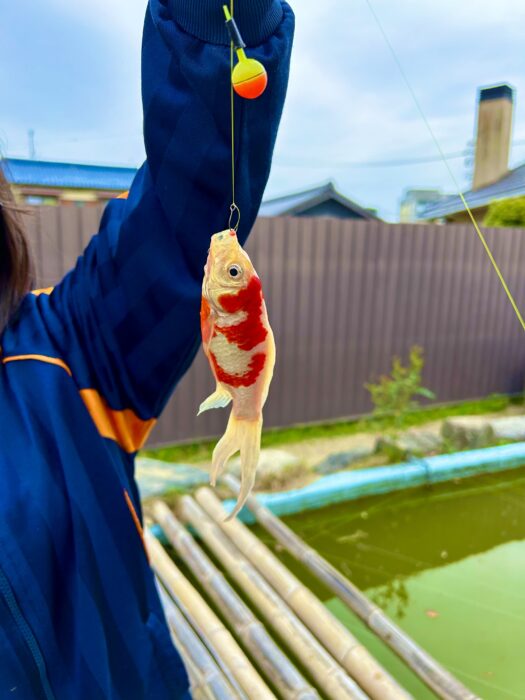 4月個別支援③金魚釣り