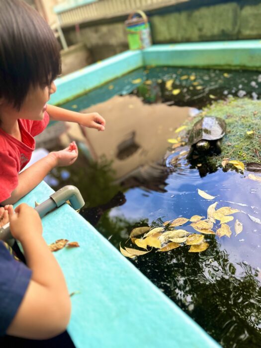月・金　森の幼稚園活動5月②