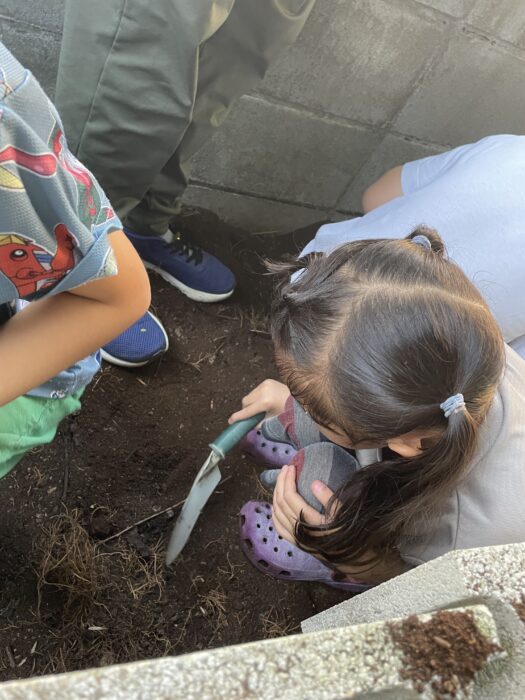 9月個別支援④カブトムシの幼虫