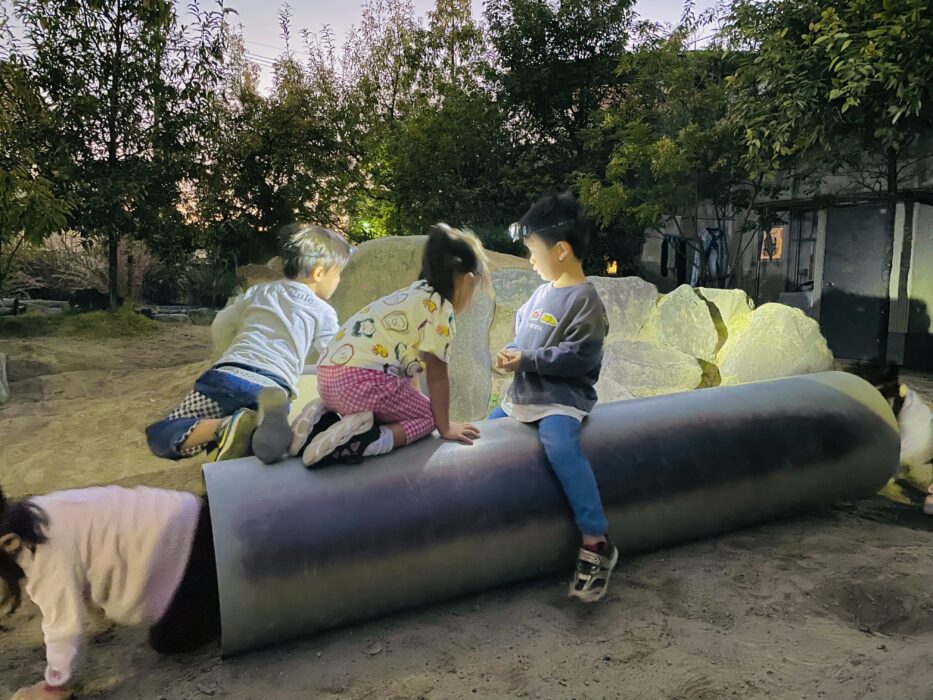 11月個別支援③カブトムシの幼虫