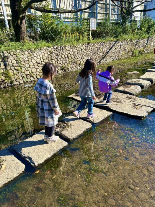 土曜NatureTrip11月①ティラピア