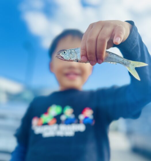 BASSFISHING in 琵琶湖