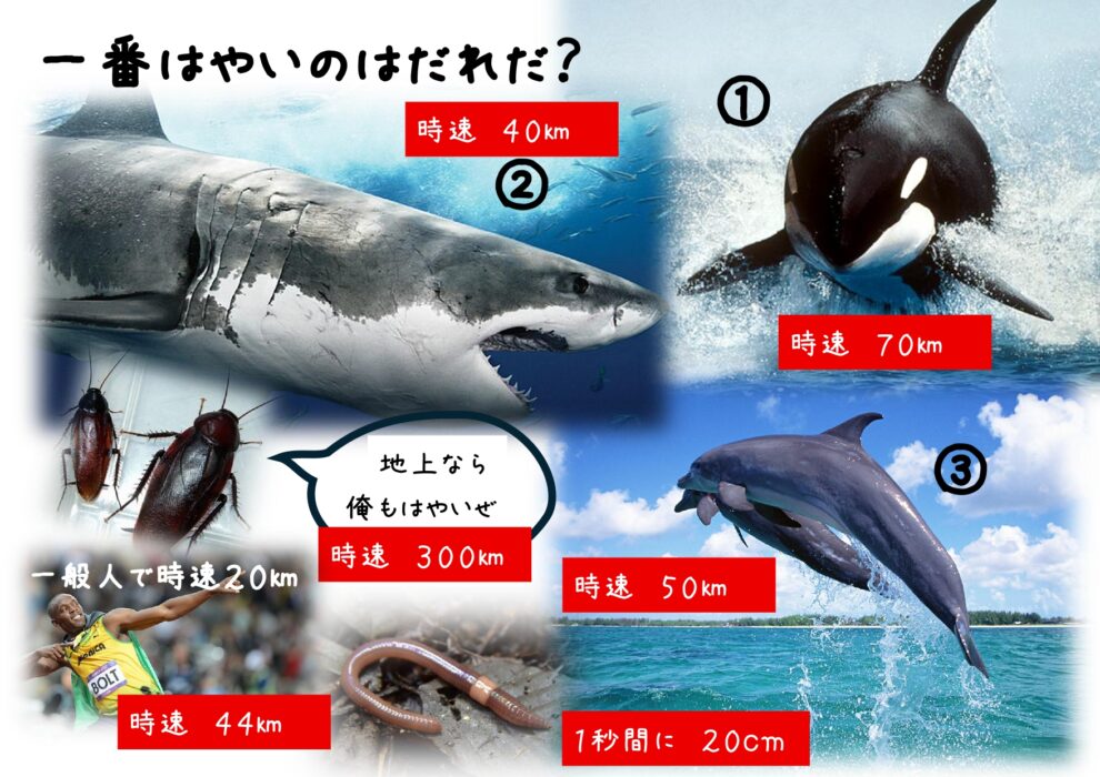 8月体験型授業④