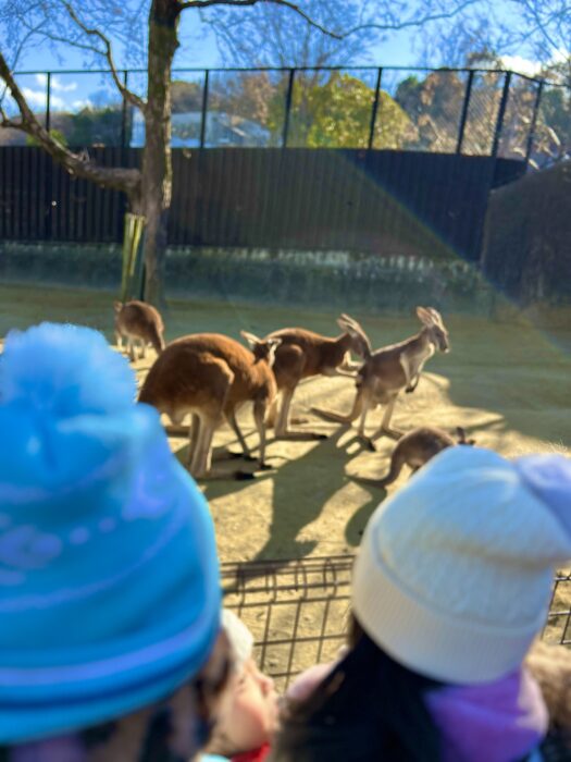 イベント【動物園】