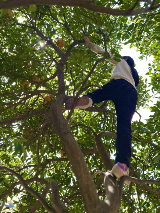 【外遊びから学ぶ】