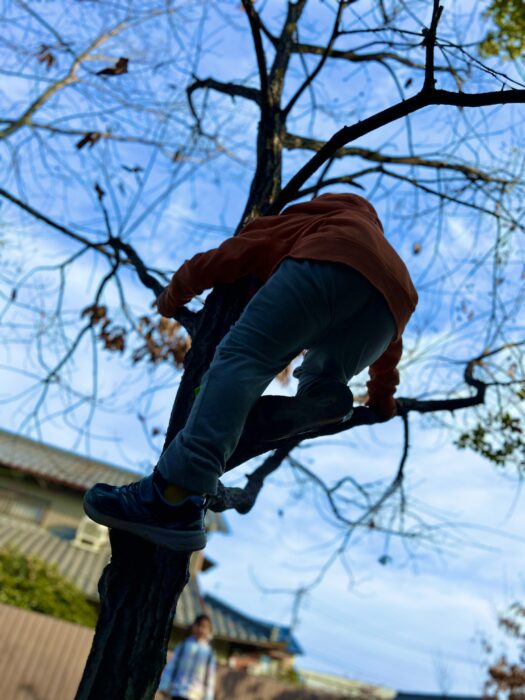 【スイーツタイム】