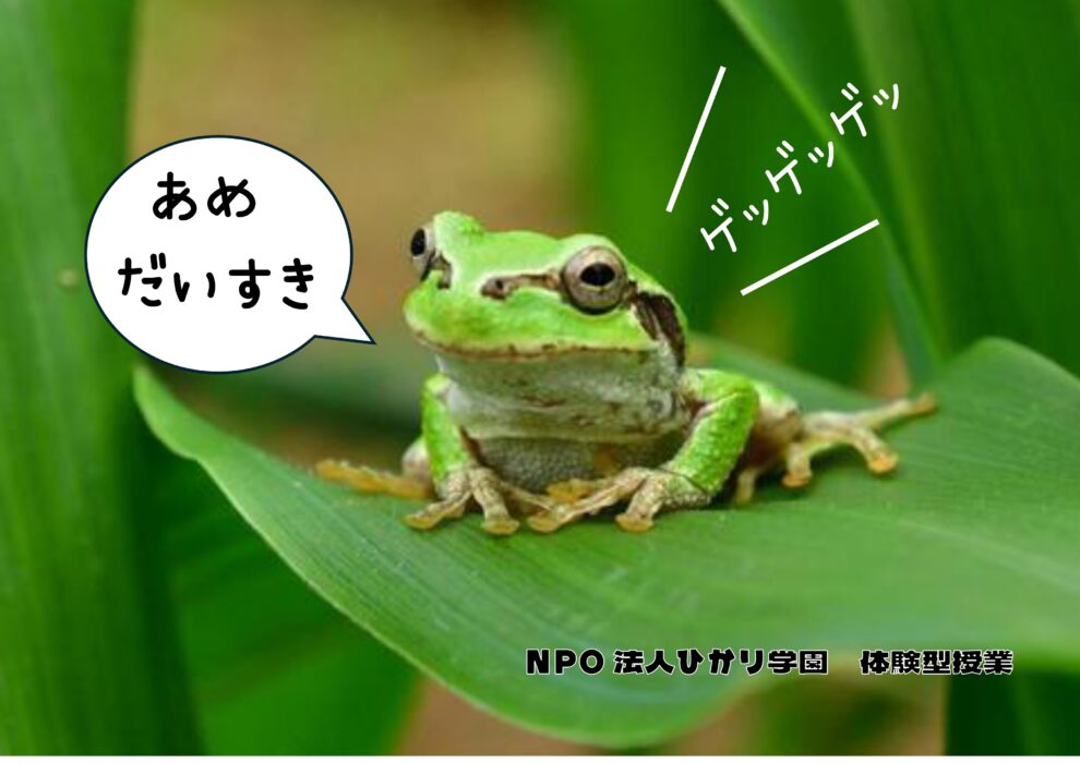 週替わり【体験型授業】