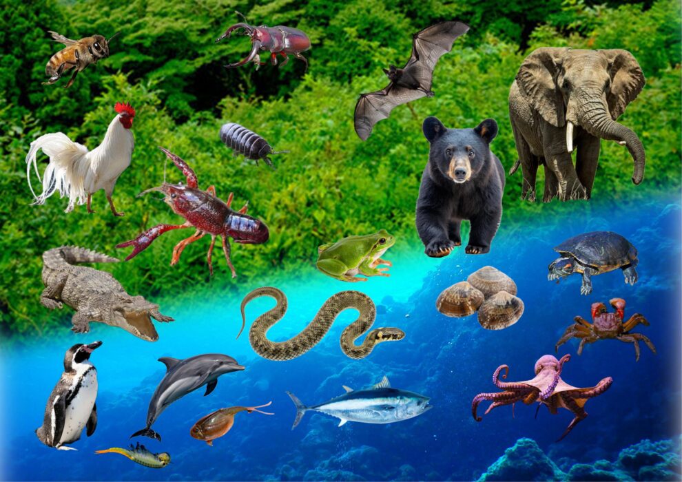 週替わり【体験型授業】