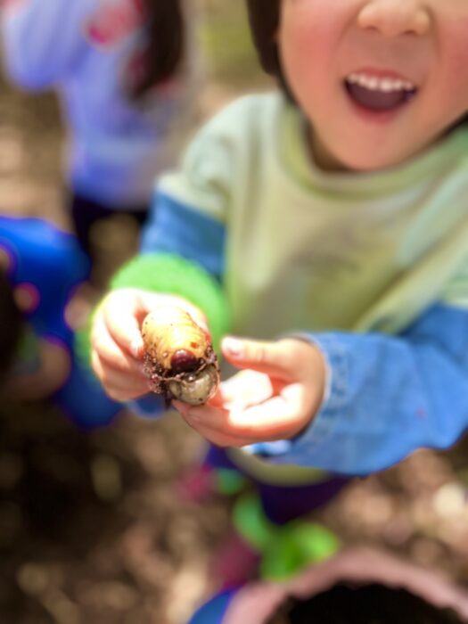 幼虫から始まる命の物語