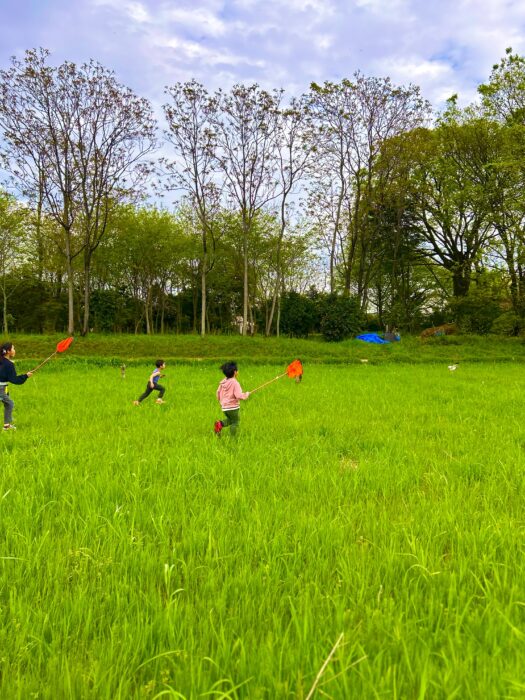 自然とふれあう放課後