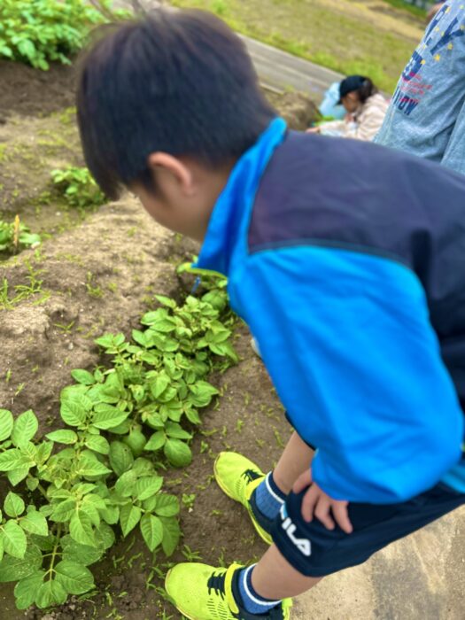 農業体験×川遊びスペシャル