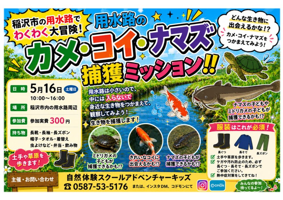 ナマズ、カメ捕獲ミッション