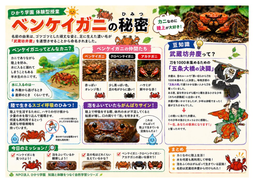 週替わり【体験型授業】