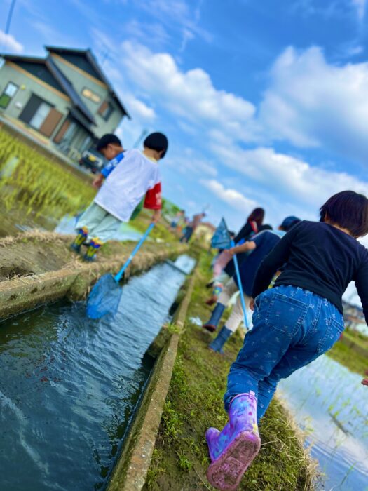夏の生き物大捜索！