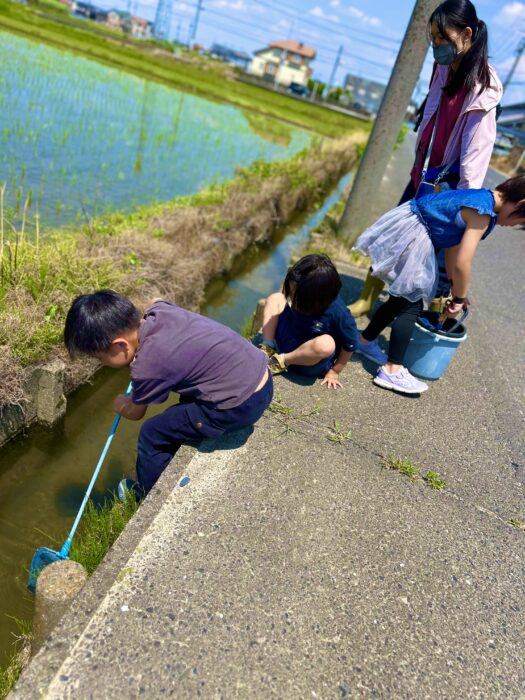 今年の用水路は熱い！！