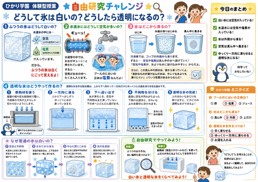 週替わり【体験型授業】自由研究チャレンジ